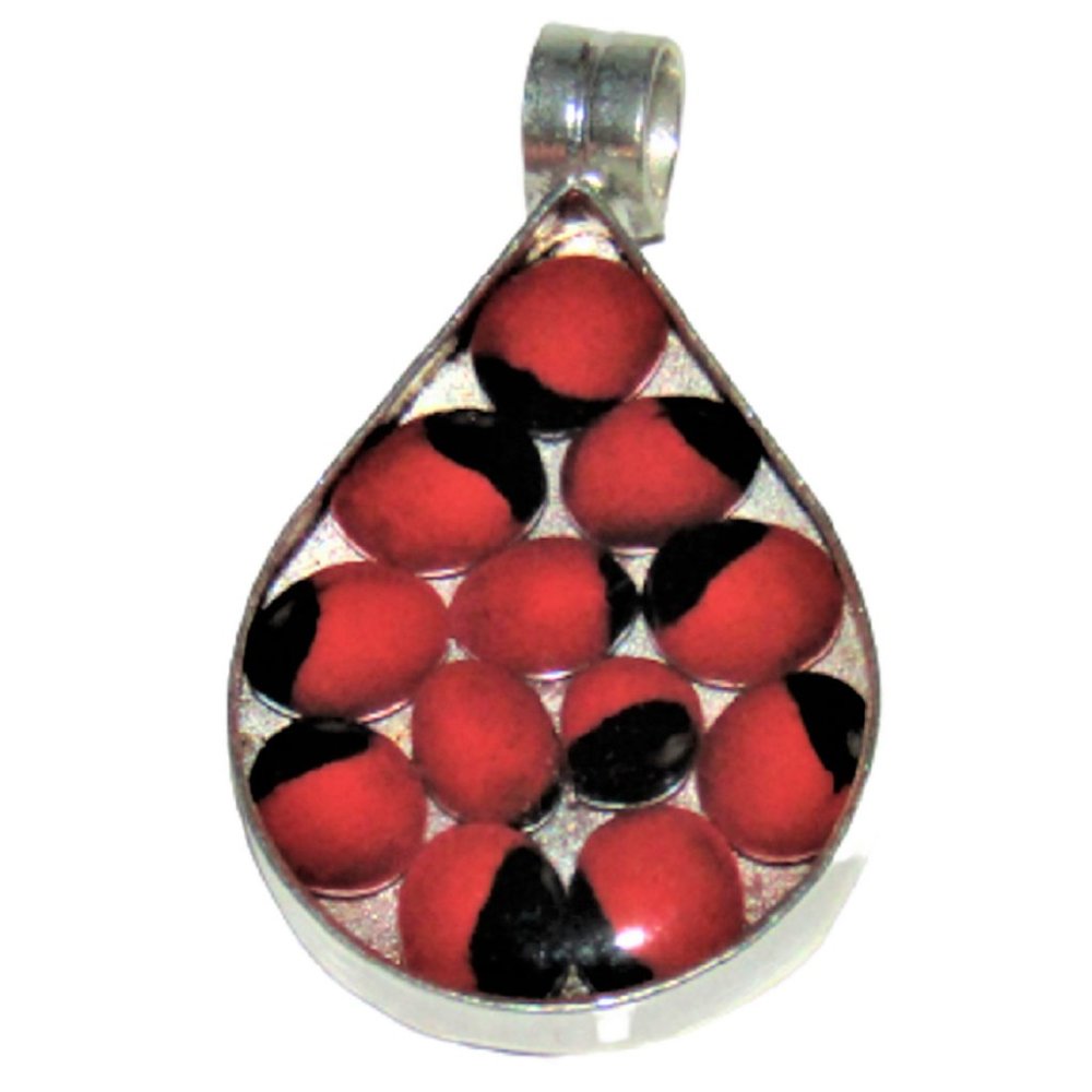 NWOT Beautiful Peruvian Huayruro Seeds Teardrop Shape Pendant 3G-KEZF-KLAT